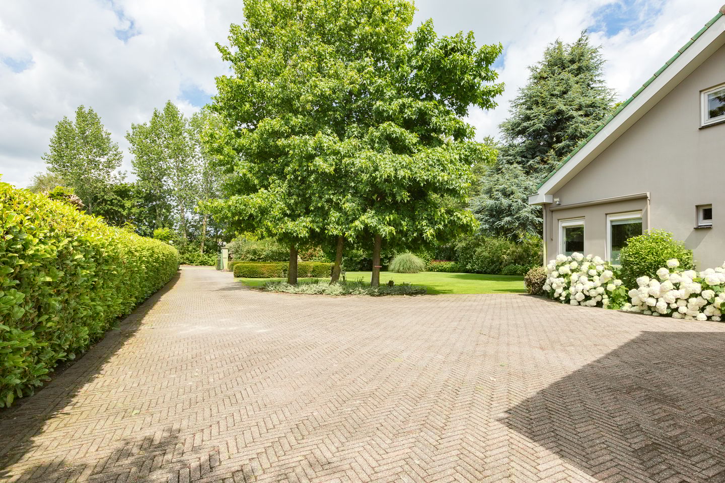 Foto 50 van Leeuwenhoekweg 50