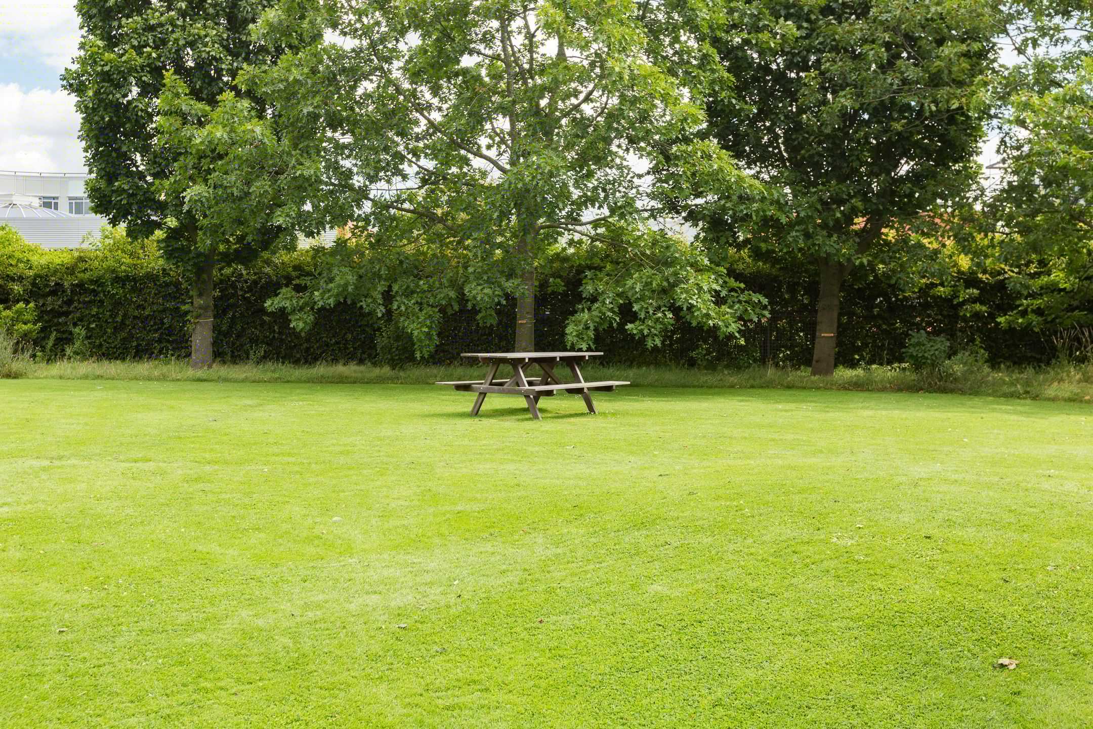 Foto 57 van Leeuwenhoekweg 50