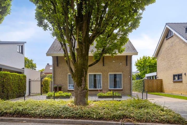 Foto 43 van Piet Heinstraat 2