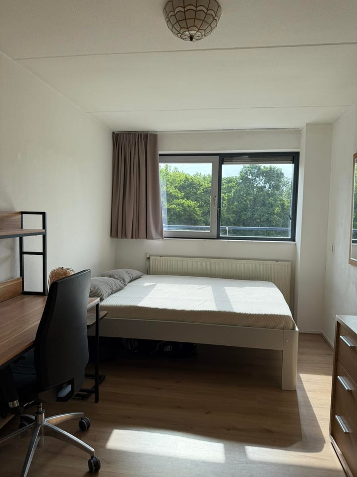 Foto 22 van Krijn Breurstraat 23