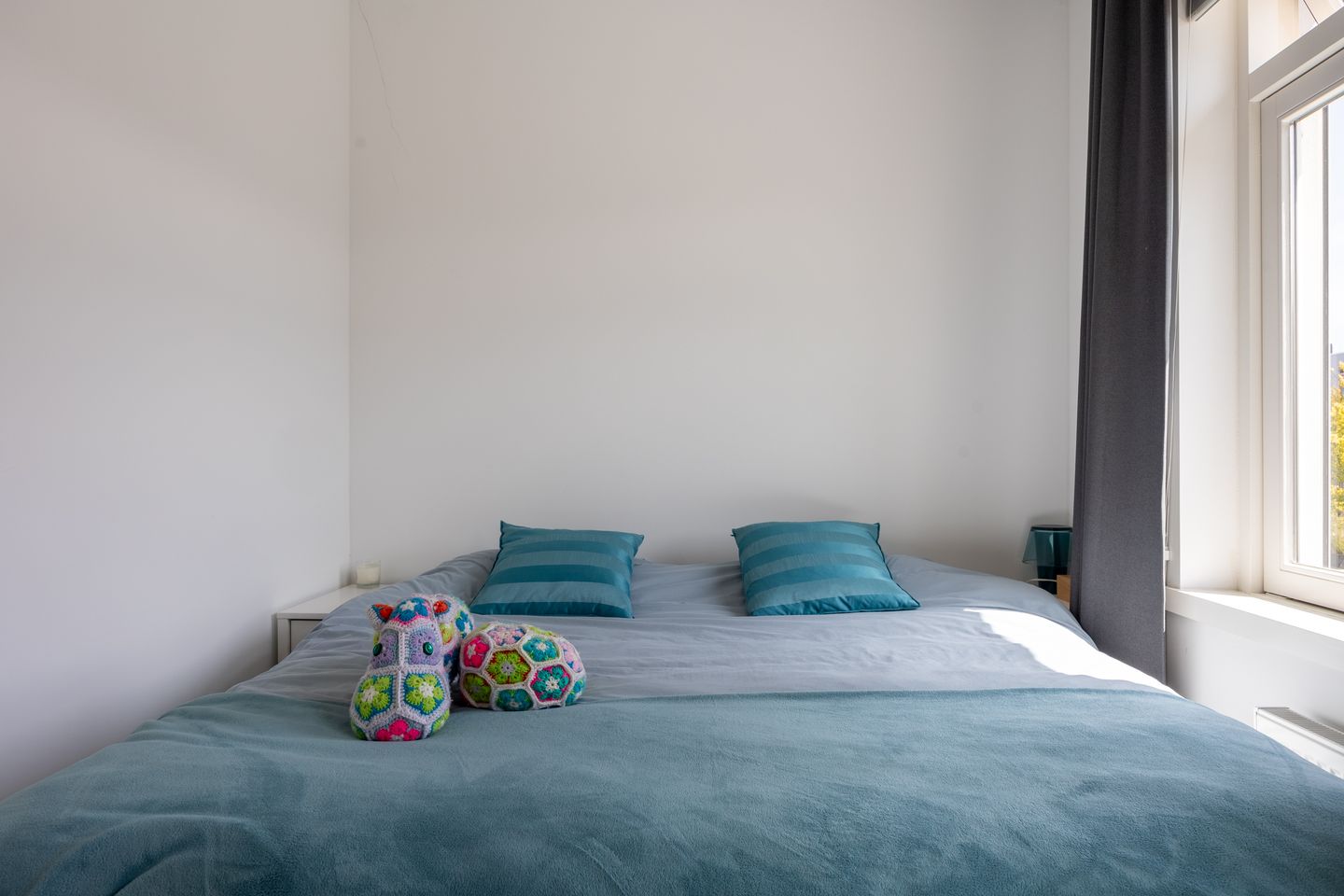 Foto 20 van Amaliastraat 34