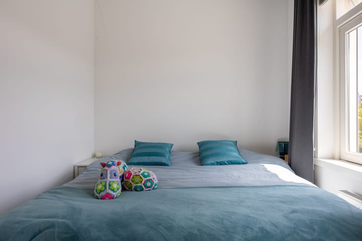 Foto 20 van Amaliastraat 34