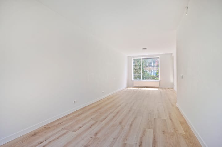 Foto 6 van Berthelotstraat 8-1