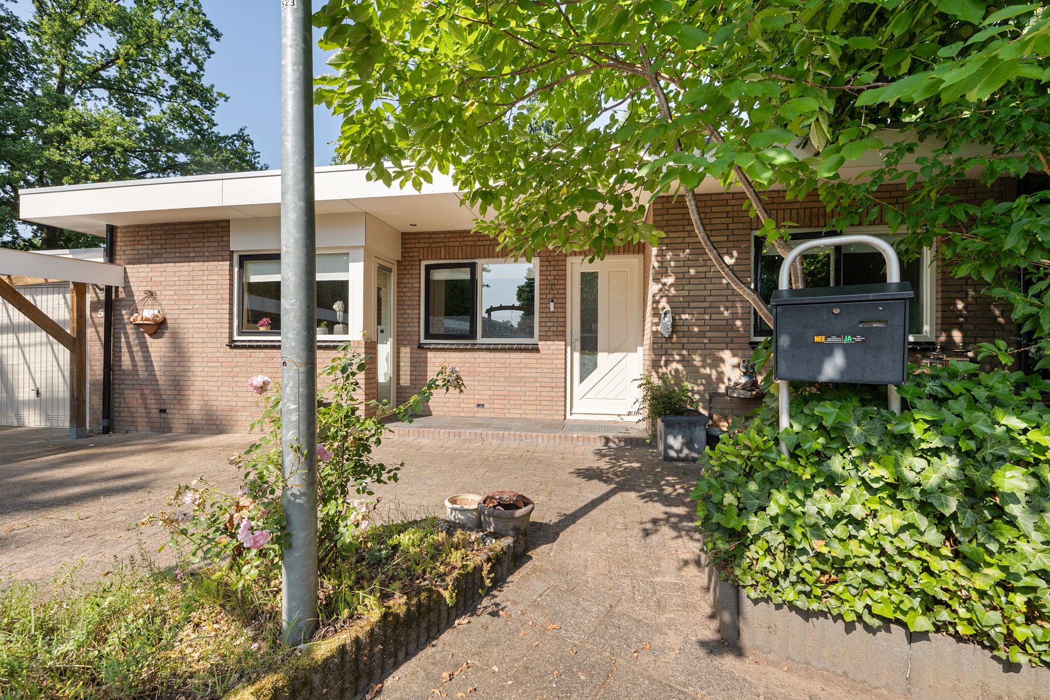 Foto 6 van Iemingecamp 5