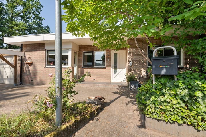 Foto 6 van Iemingecamp 5