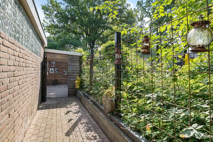 Foto 41 van Iemingecamp 5