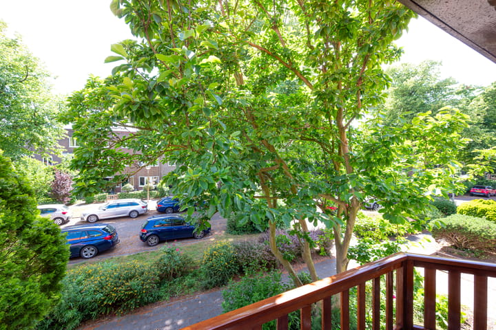 Foto 17 van Laan van Rozenburg 20