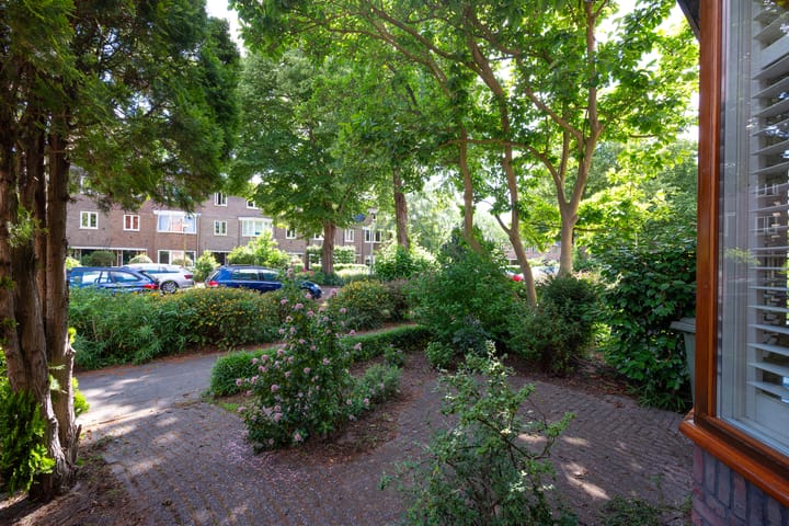 Foto 36 van Laan van Rozenburg 20