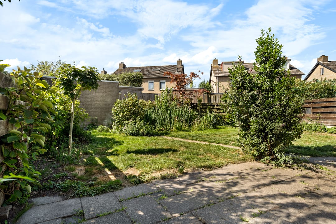 Foto 2 van Zilvermeeuw 116