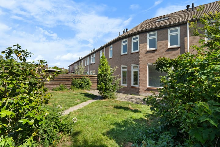 Foto 3 van Zilvermeeuw 116