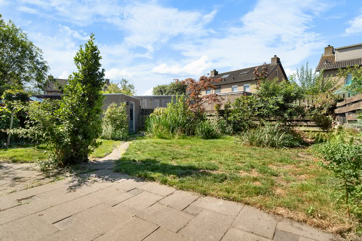 Foto 31 van Zilvermeeuw 116