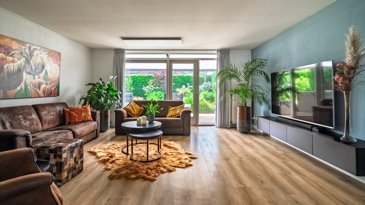 Foto 3 van Menagerie 1