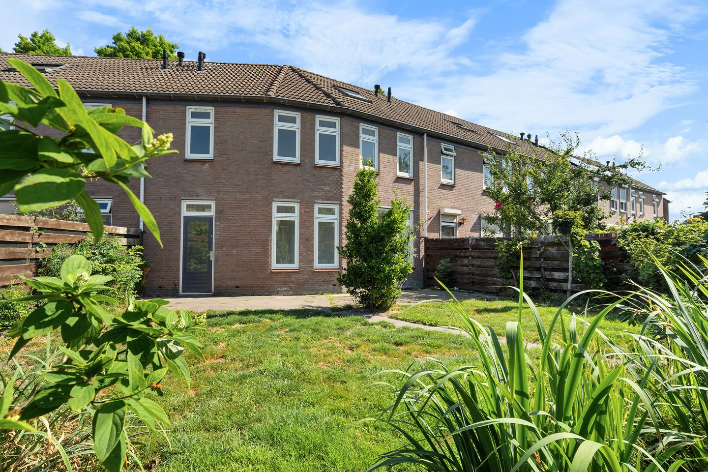 Foto 34 van Zilvermeeuw 116