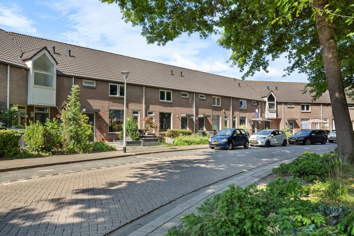 Foto 36 van Zilvermeeuw 116