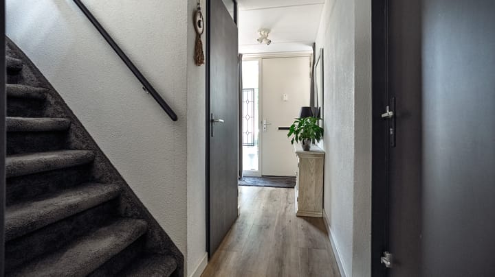 Foto 9 van Menagerie 1