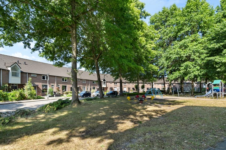 Foto 37 van Zilvermeeuw 116