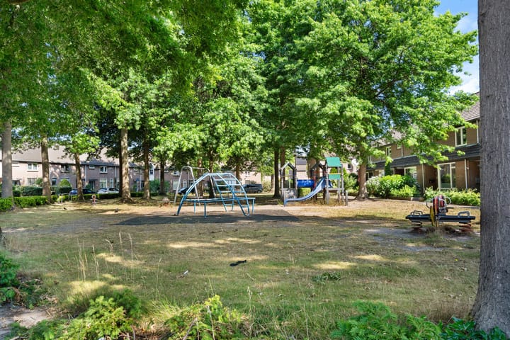 Foto 38 van Zilvermeeuw 116