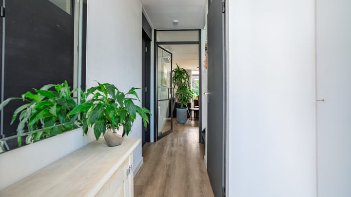 Foto 11 van Menagerie 1