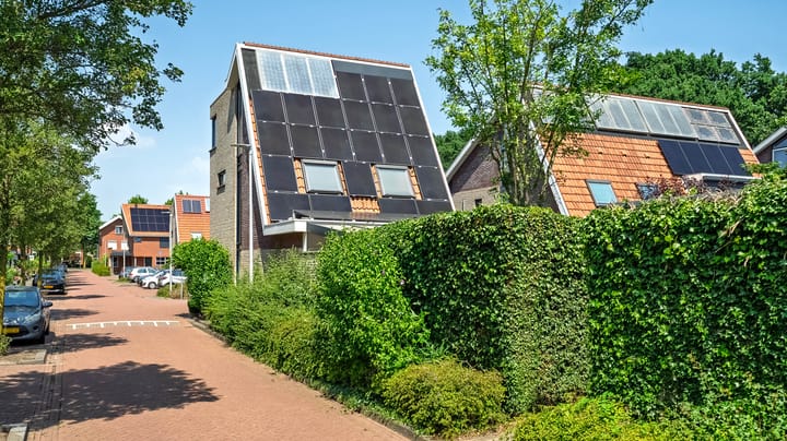 Foto 29 van Menagerie 1