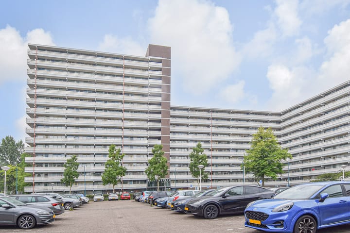 Foto 2 van Belvédèrebos 41