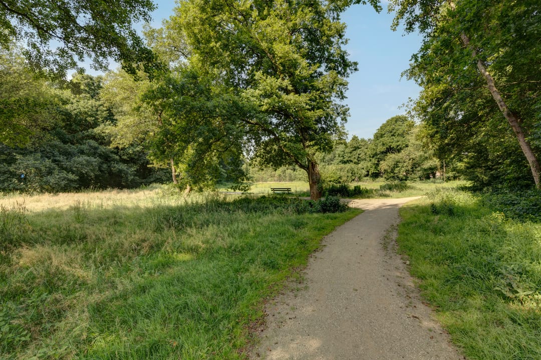 Foto 43 van Tonissenlaan 24