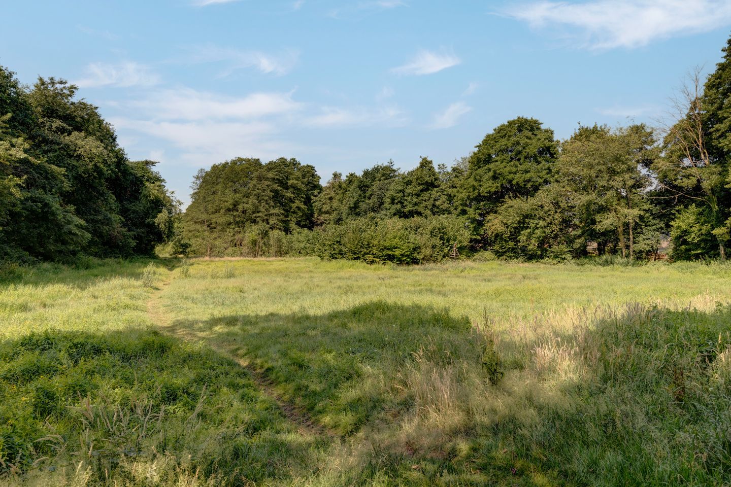 Foto 44 van Tonissenlaan 24