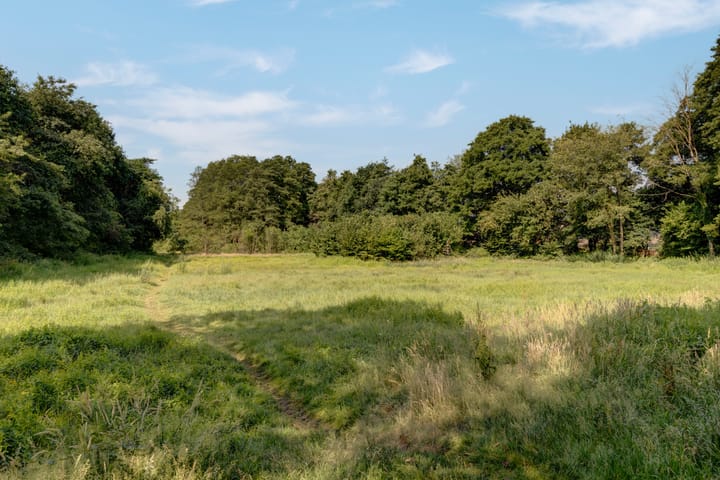 Foto 44 van Tonissenlaan 24