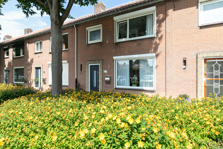 Photo 7 of Karel V Laan 45