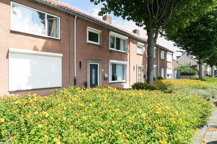 Photo 10 of Karel V Laan 45