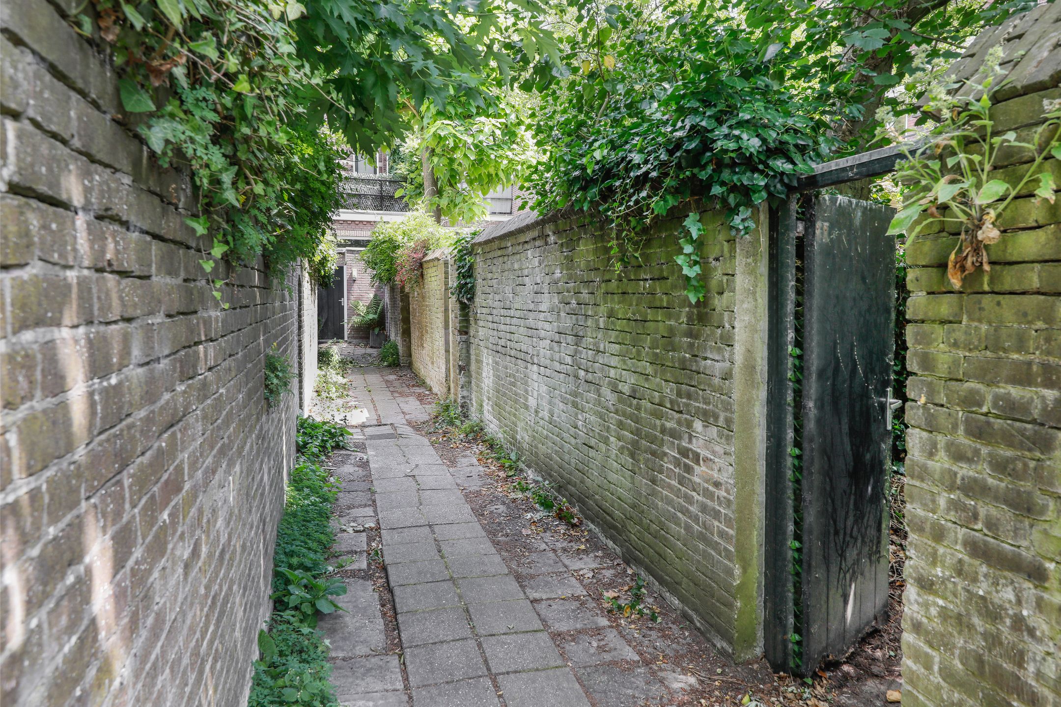 Foto 12 van Luijbenstraat 5