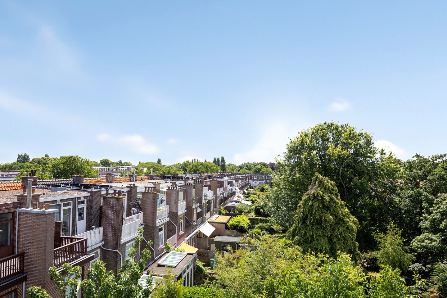 Foto 44 van Vlierboomstraat 228