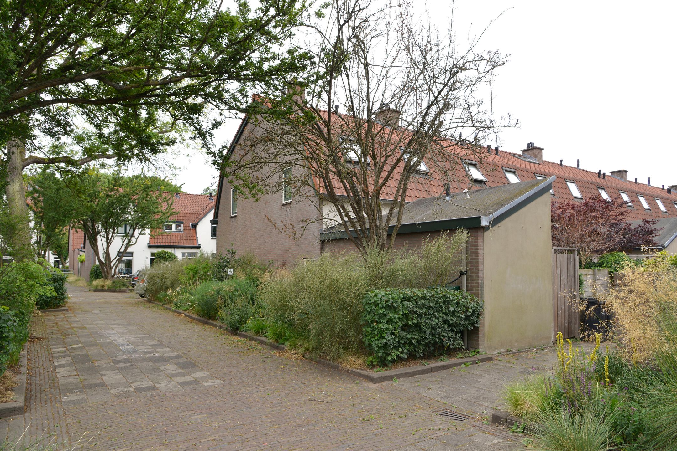 Foto 24 van De Peppels 15