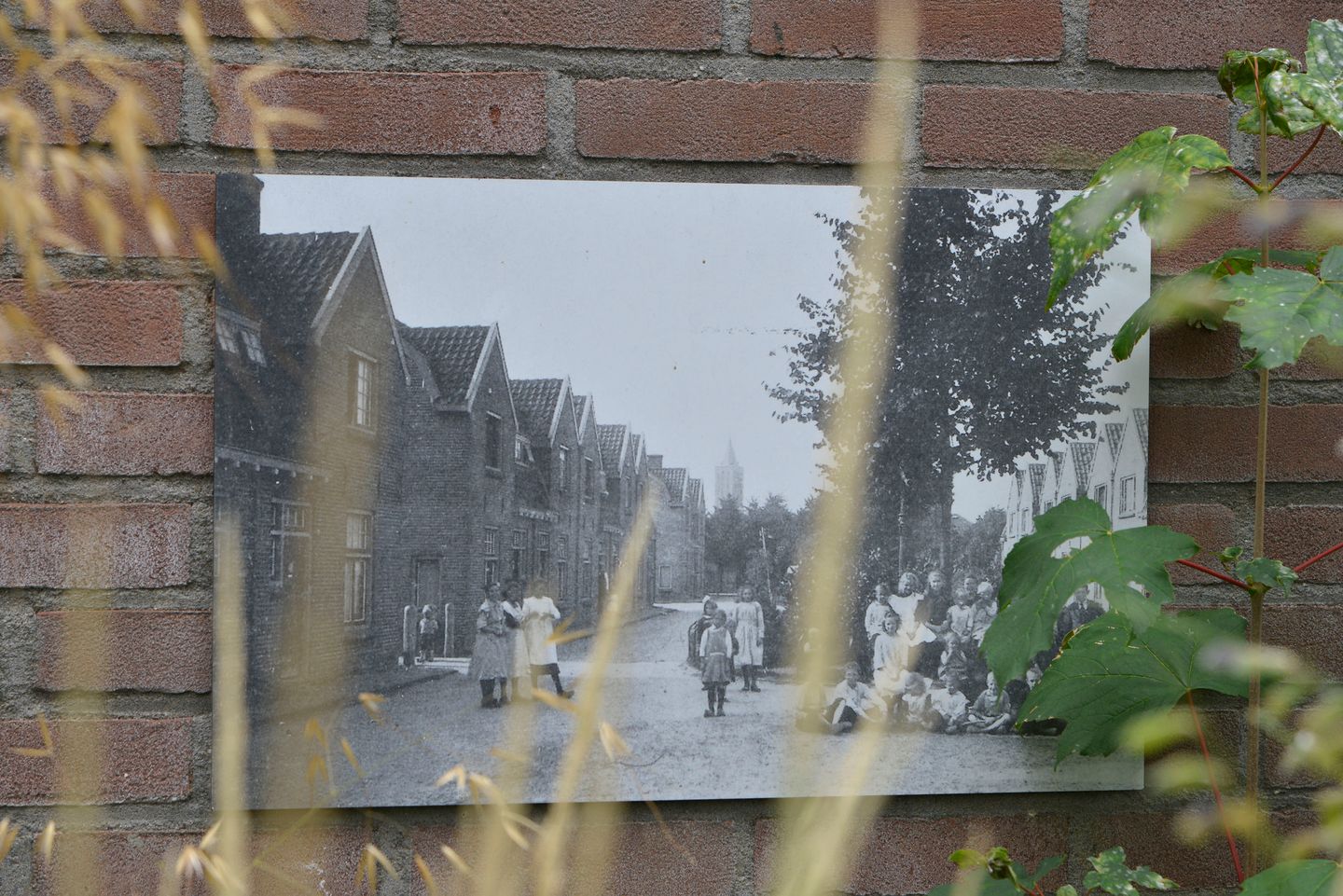 Foto 25 van De Peppels 15