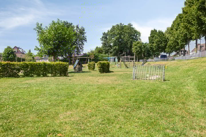 Foto 41 van Lisdodde 7