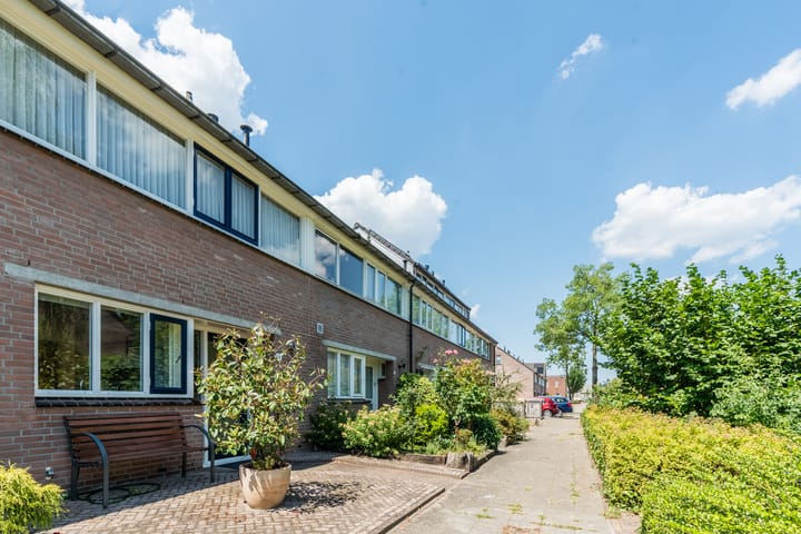 Foto 28 van de Doelen 11