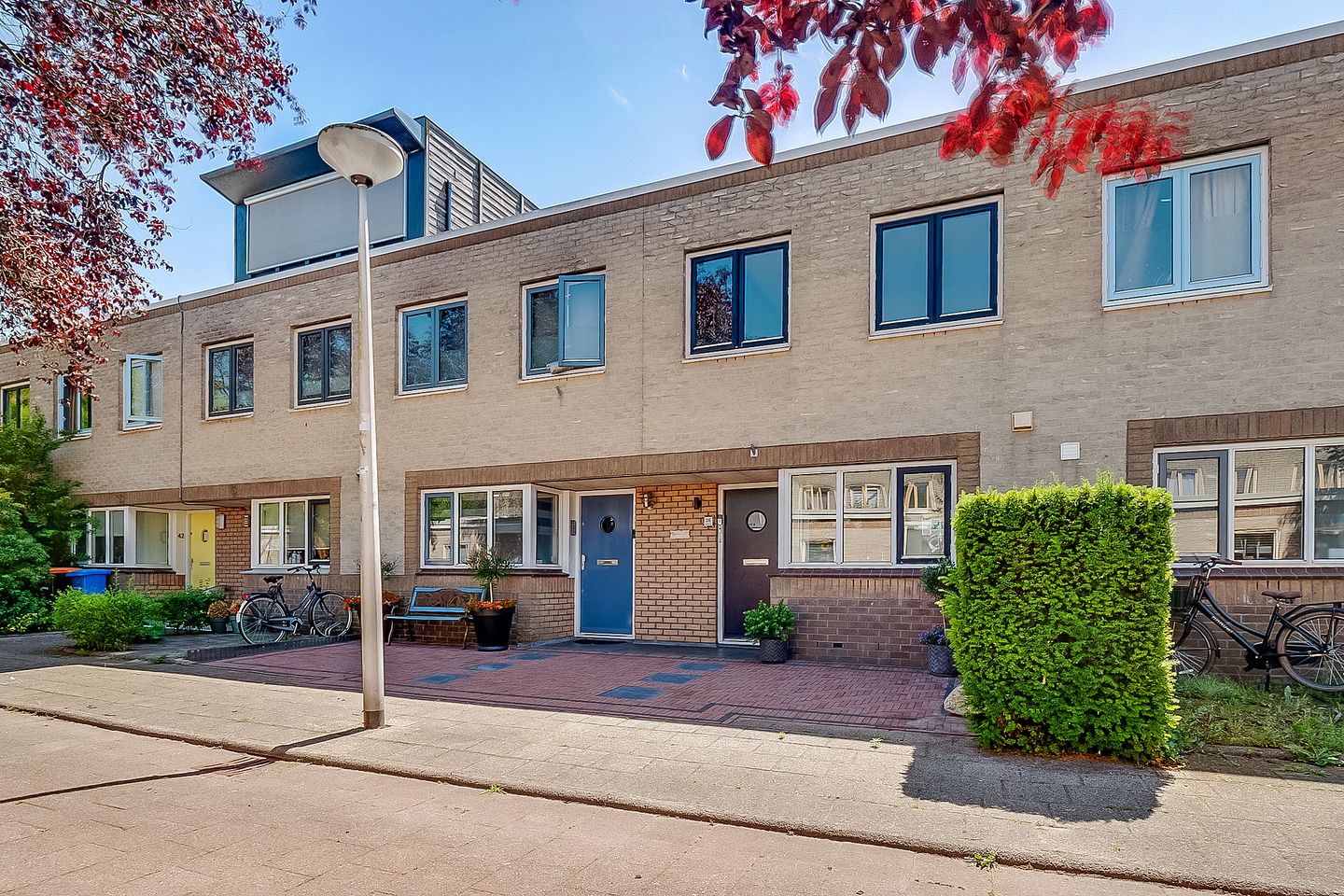 Foto 1 van Eikebladvlinder 36