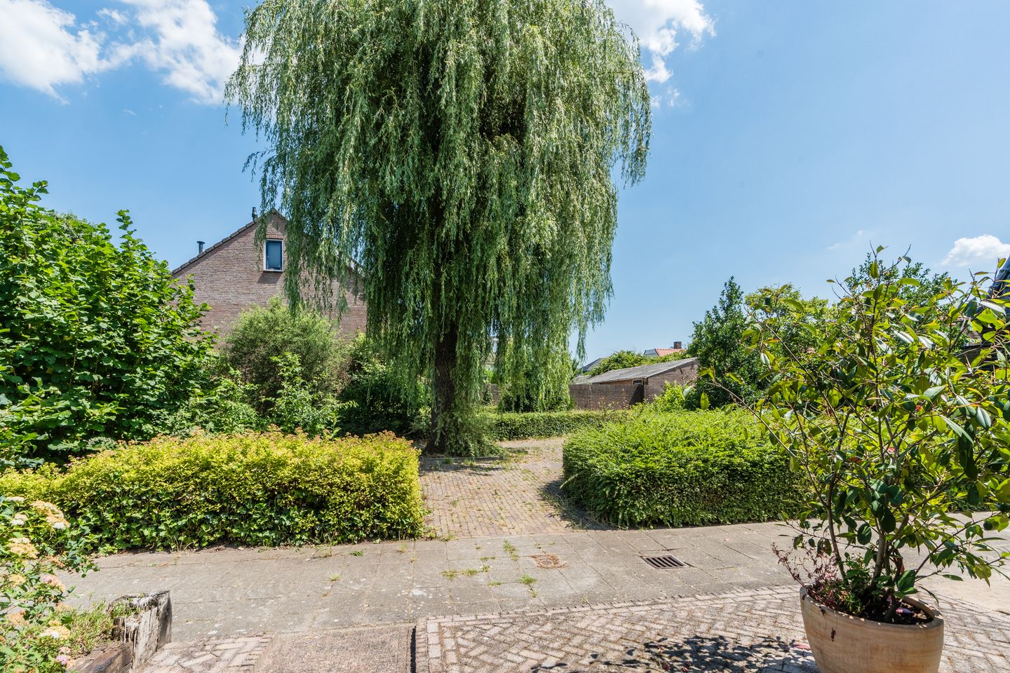 Foto 29 van de Doelen 11