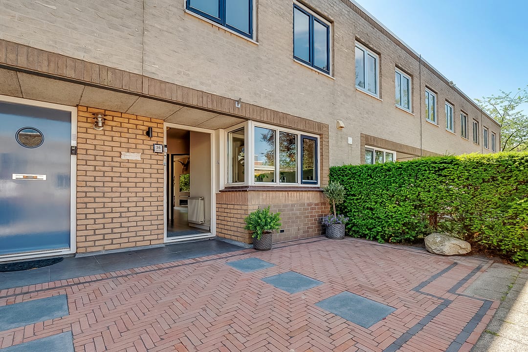 Foto 2 van Eikebladvlinder 36