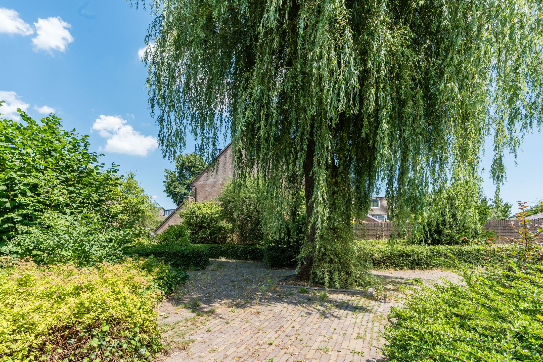 Foto 30 van de Doelen 11