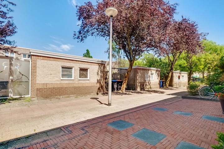 Foto 3 van Eikebladvlinder 36