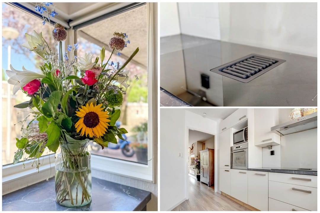 Foto 16 van Eikebladvlinder 36