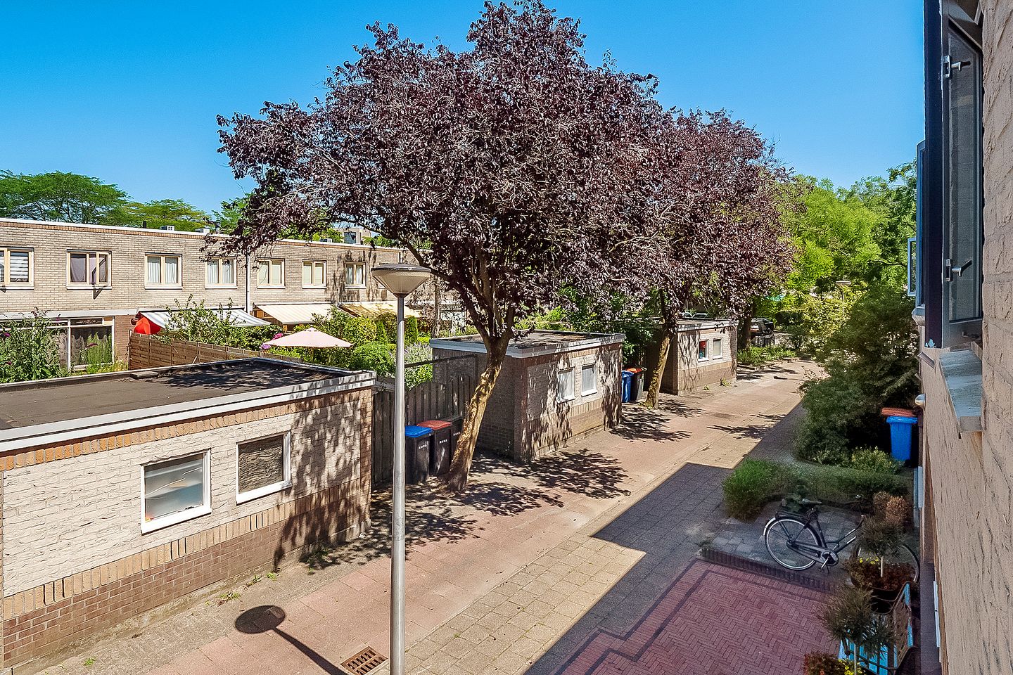 Foto 20 van Eikebladvlinder 36