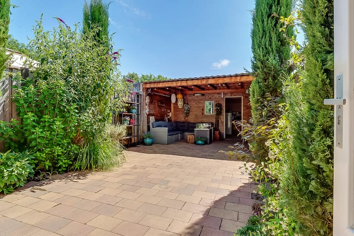 Foto 26 van Eikebladvlinder 36