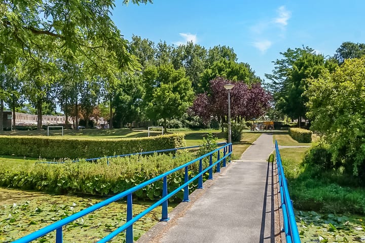 Foto 31 van Eikebladvlinder 36