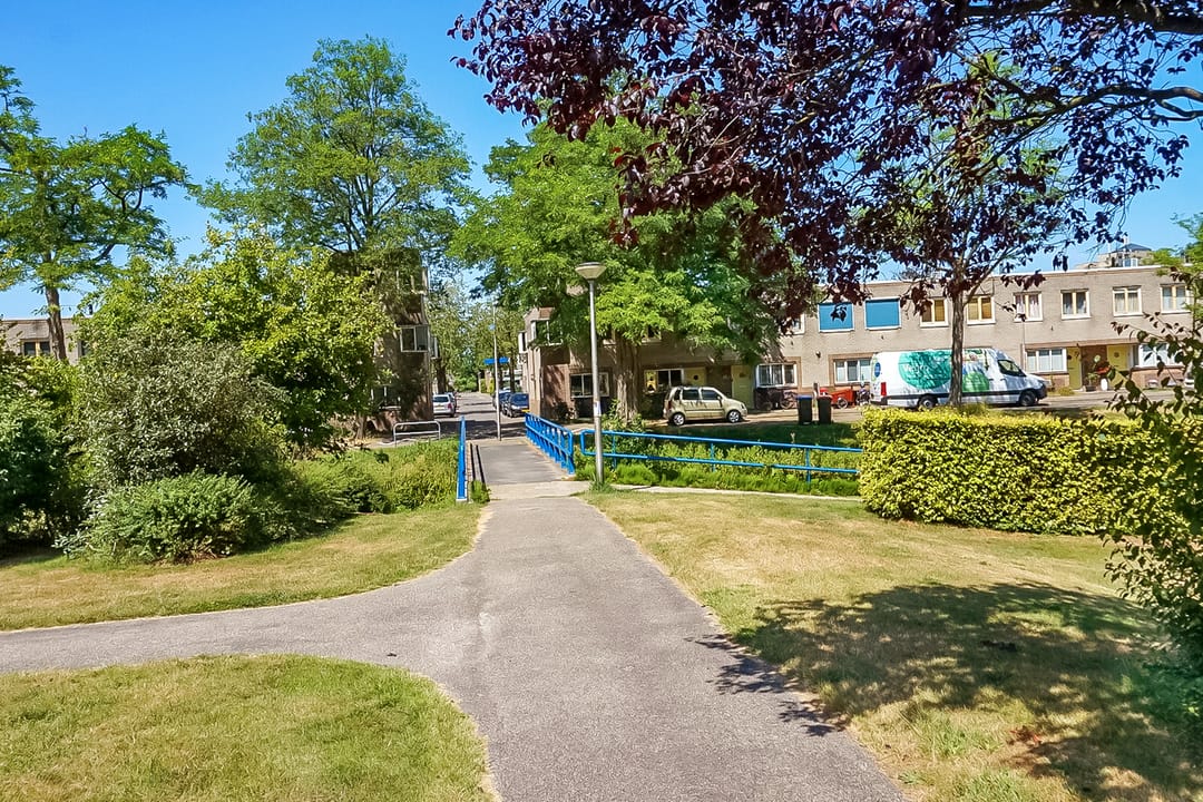 Foto 32 van Eikebladvlinder 36