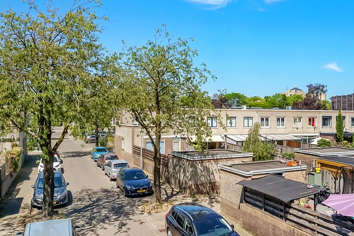 Foto 35 van Eikebladvlinder 36