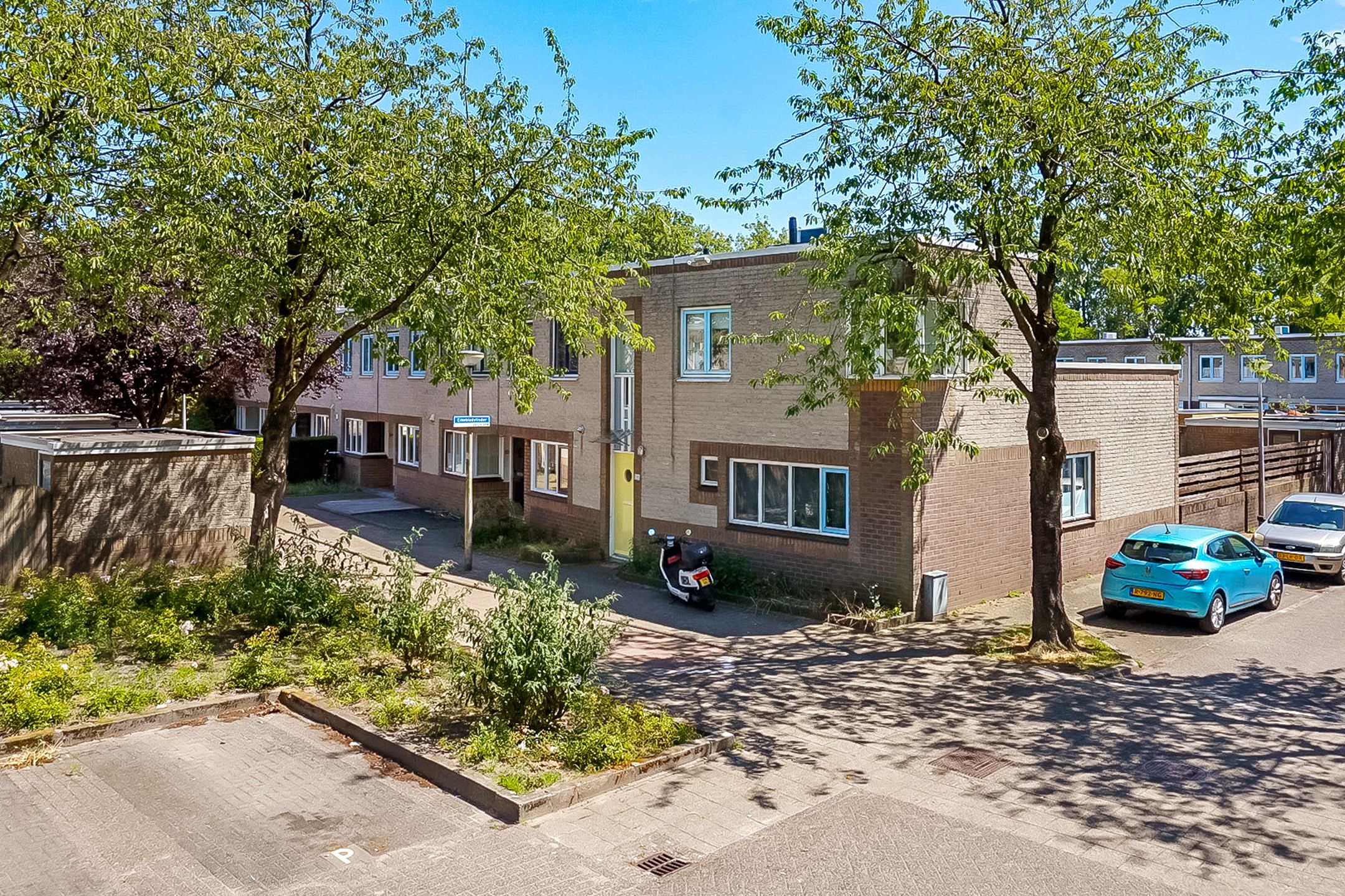 Foto 36 van Eikebladvlinder 36