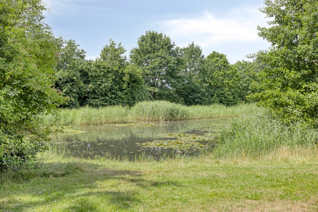 Foto 46 van Bomhof 70-A