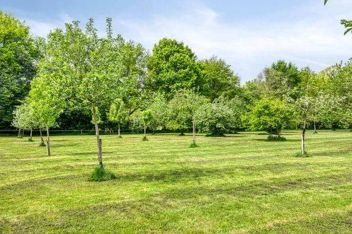 Foto 55 van Oude Zutphenseweg 11