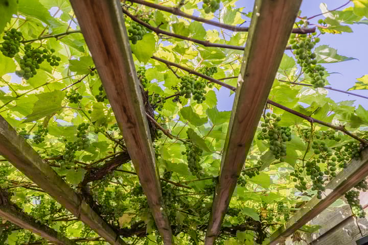 Foto 12 van Tweede Westerparklaan 128